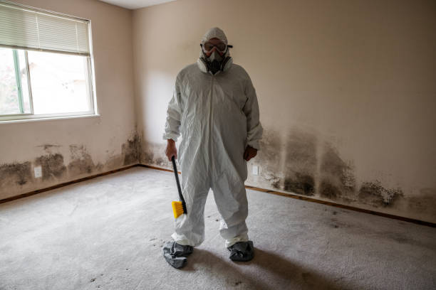Best HVAC Mold Remediation in Big Spring, TX